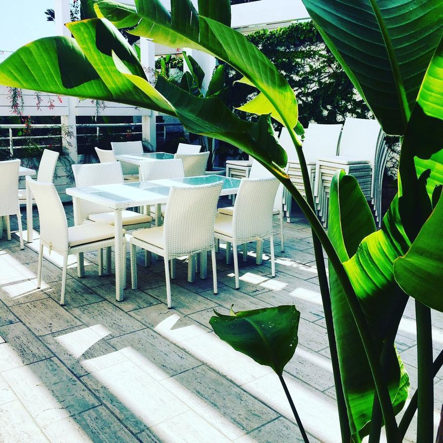 Foglie D' Acqua Bed & Breakfast Бишелие Екстериор снимка
